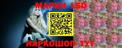 альфа пвп Новодвинск