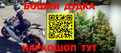 дурь Новокубанск