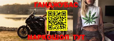 альфа пвп Новодвинск