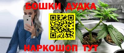 альфа пвп Новодвинск